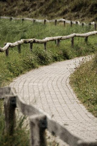 Hotel Texel fotoÄŸrafÄ±