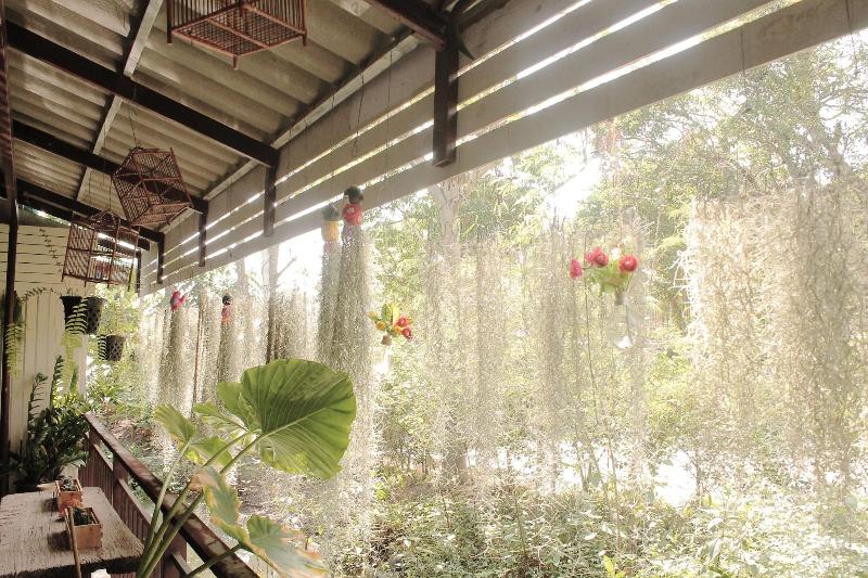 Ploynam Homestay - Teras