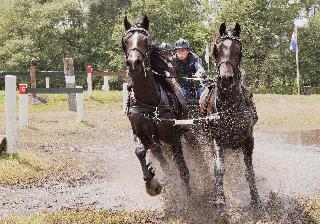 Buitenplaats Erve Hulsbeek fotoÄŸrafÄ±