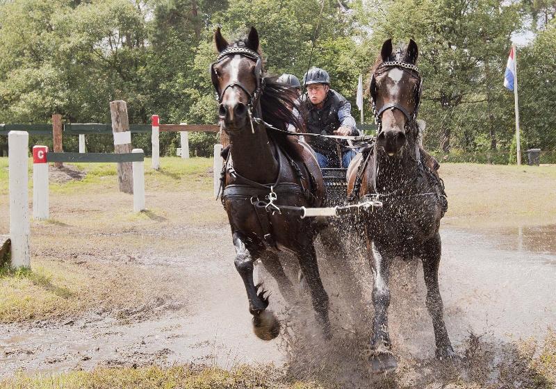 Buitenplaats Erve Hulsbeek - Aktivite