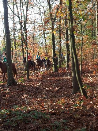 Buitenplaats Erve Hulsbeek fotoÄŸrafÄ±
