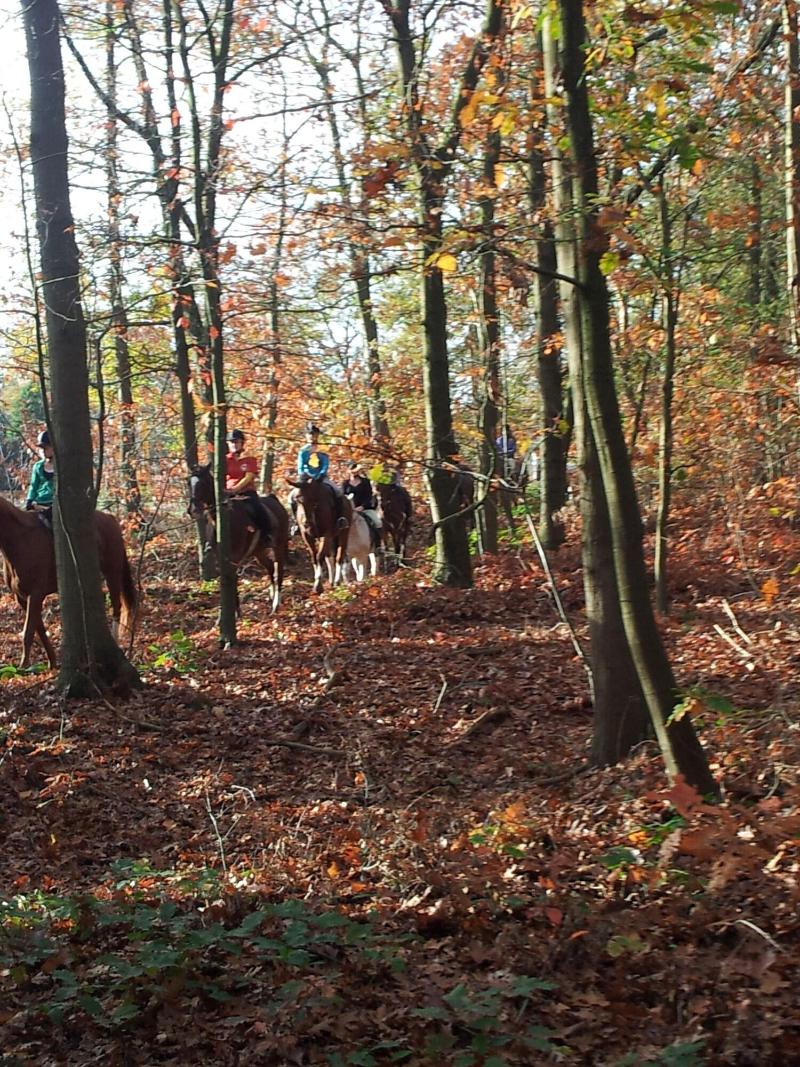 Buitenplaats Erve Hulsbeek - Aktivite
