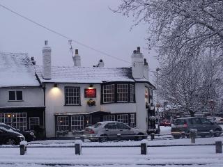 Red Lion fotoÄŸrafÄ±