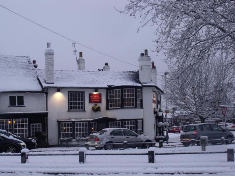 Red Lion - Genel