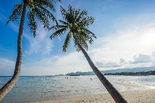 Chaba Cabana Beach Resort fotoÄŸrafÄ±