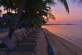 Paradise Beach Resort Samui fotoÄŸrafÄ±