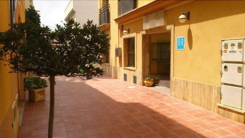 Hotel Paloma - Genel