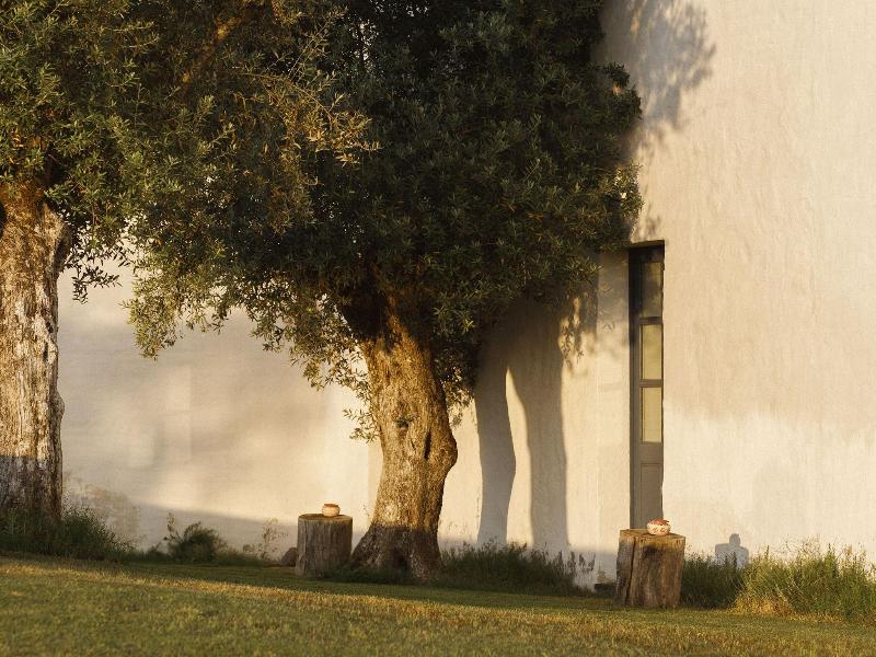São Lourenço do Barrocal - Genel