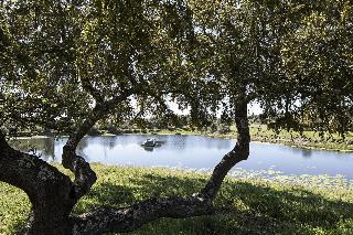 São Lourenço do Barrocal fotoÄŸrafÄ±