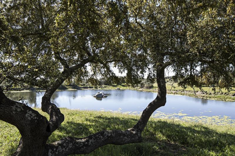 São Lourenço do Barrocal - Genel