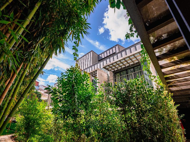 Jardim Da Batalha By Shiadu - Teras