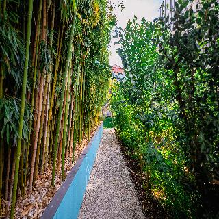 Jardim Da Batalha By Shiadu fotoÄŸrafÄ±