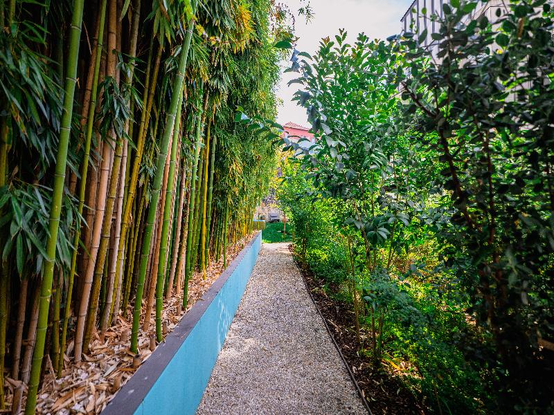 Jardim Da Batalha By Shiadu - Teras