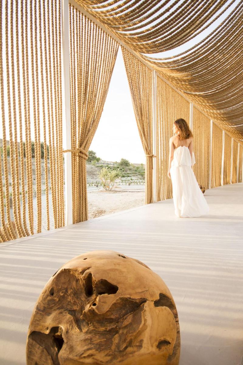 Aelia Wellness Retreat - Lobi