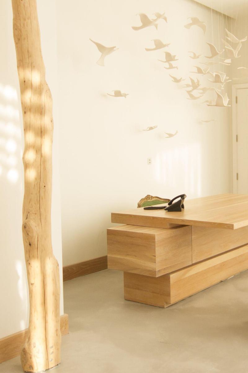 Aelia Wellness Retreat - Aktivite