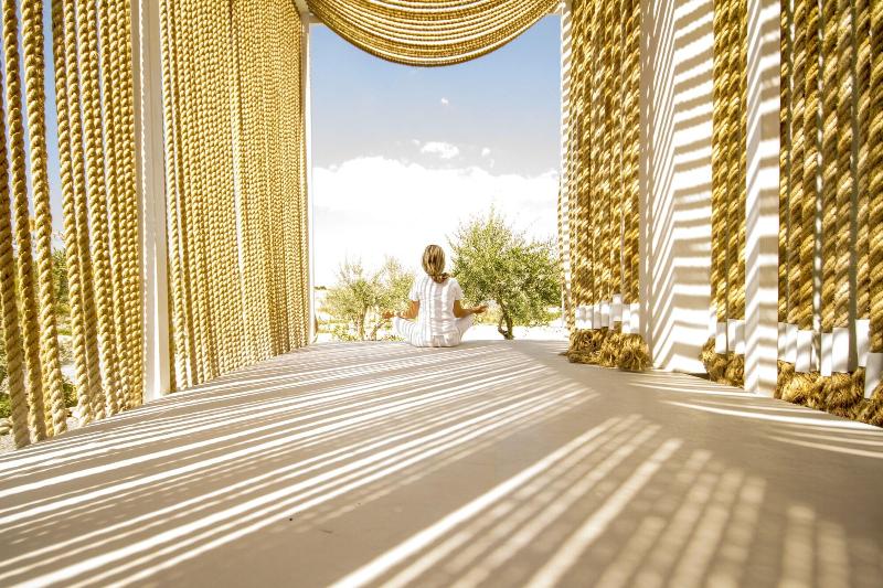 Aelia Wellness Retreat - Genel