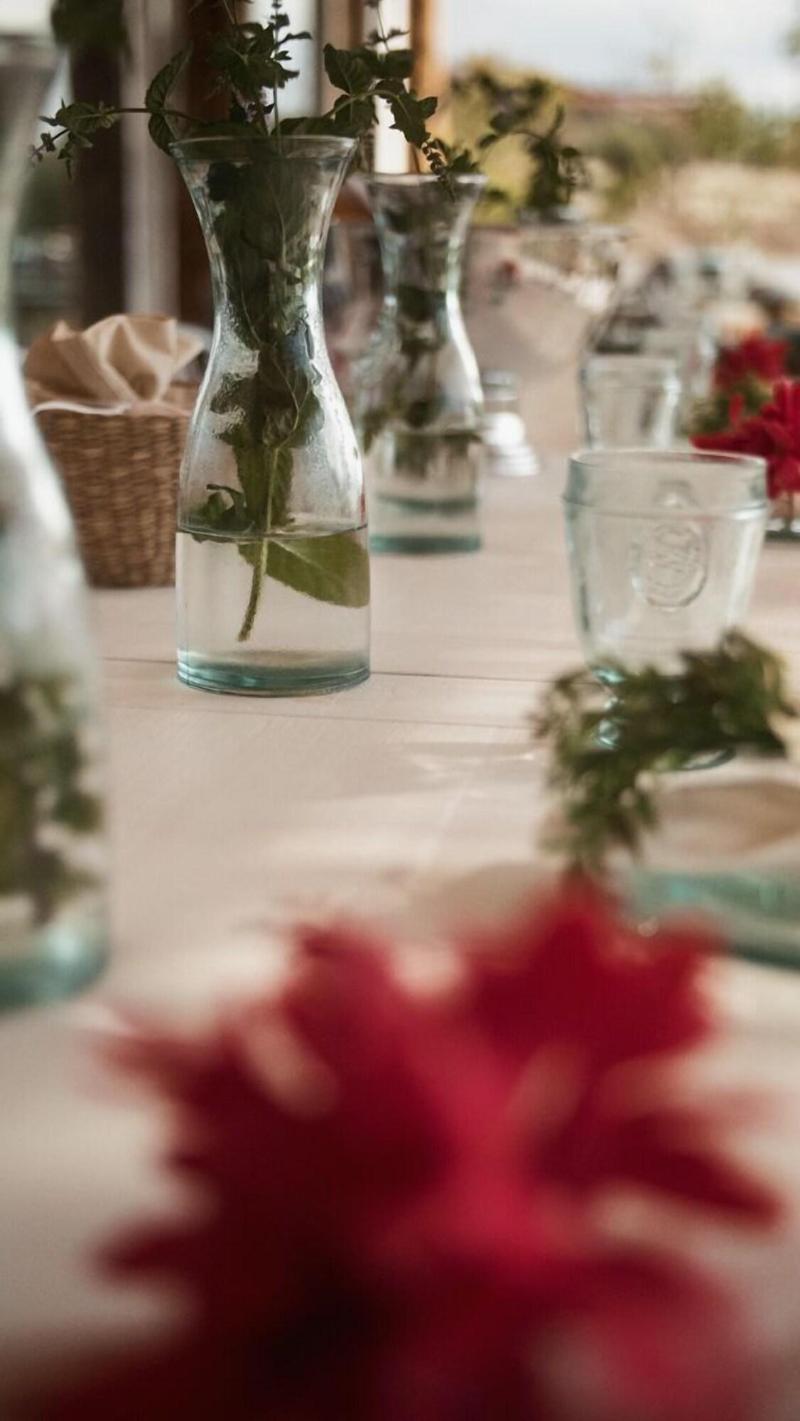 Aelia Wellness Retreat - Genel