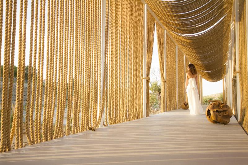Aelia Wellness Retreat - Teras