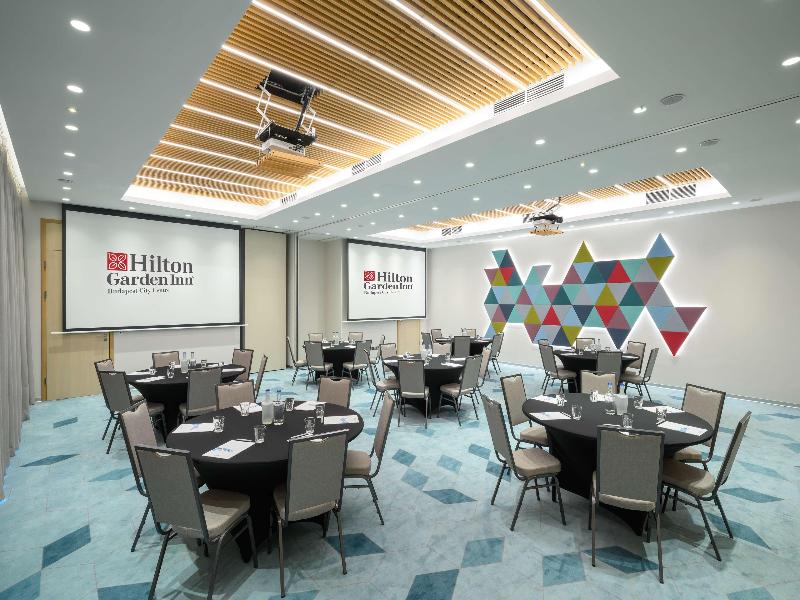 Hilton Garden Inn Budapest City Centre - Toplantı