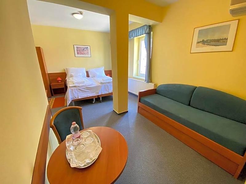 Tisza Alfa Hotel - Genel