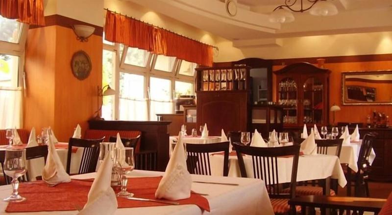Tisza Alfa Hotel - Restoran