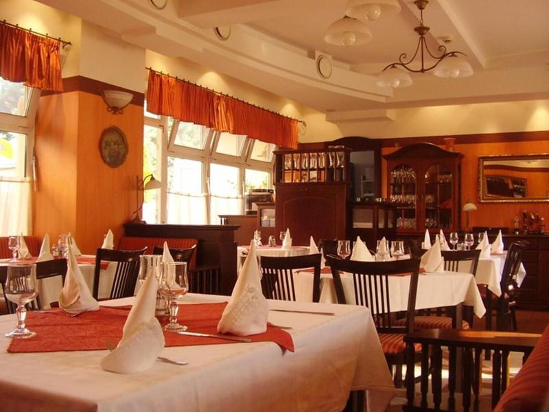 Tisza Alfa Hotel - Restoran