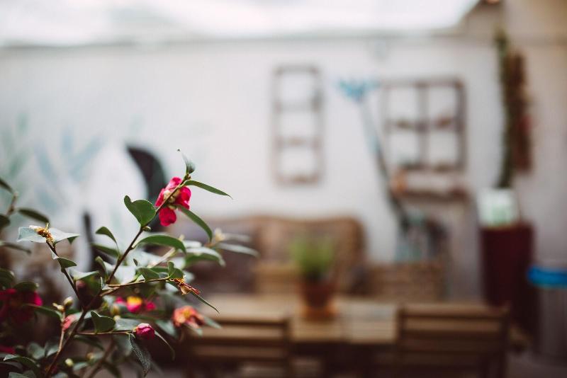Tomato Backpackers Hotel - Genel