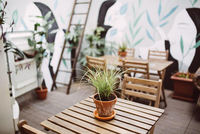 Tomato Backpackers Hotel - Oda