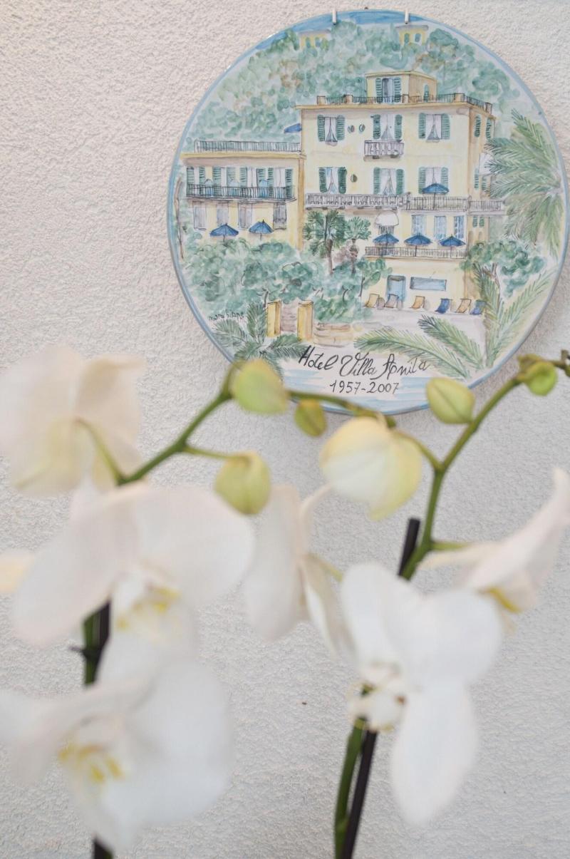 Hotel Villa Anita - Lobi