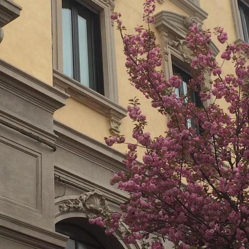 Hotel La Nuova Rotaia - Genel