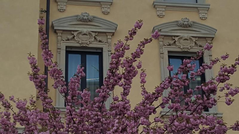 Hotel La Nuova Rotaia - Genel