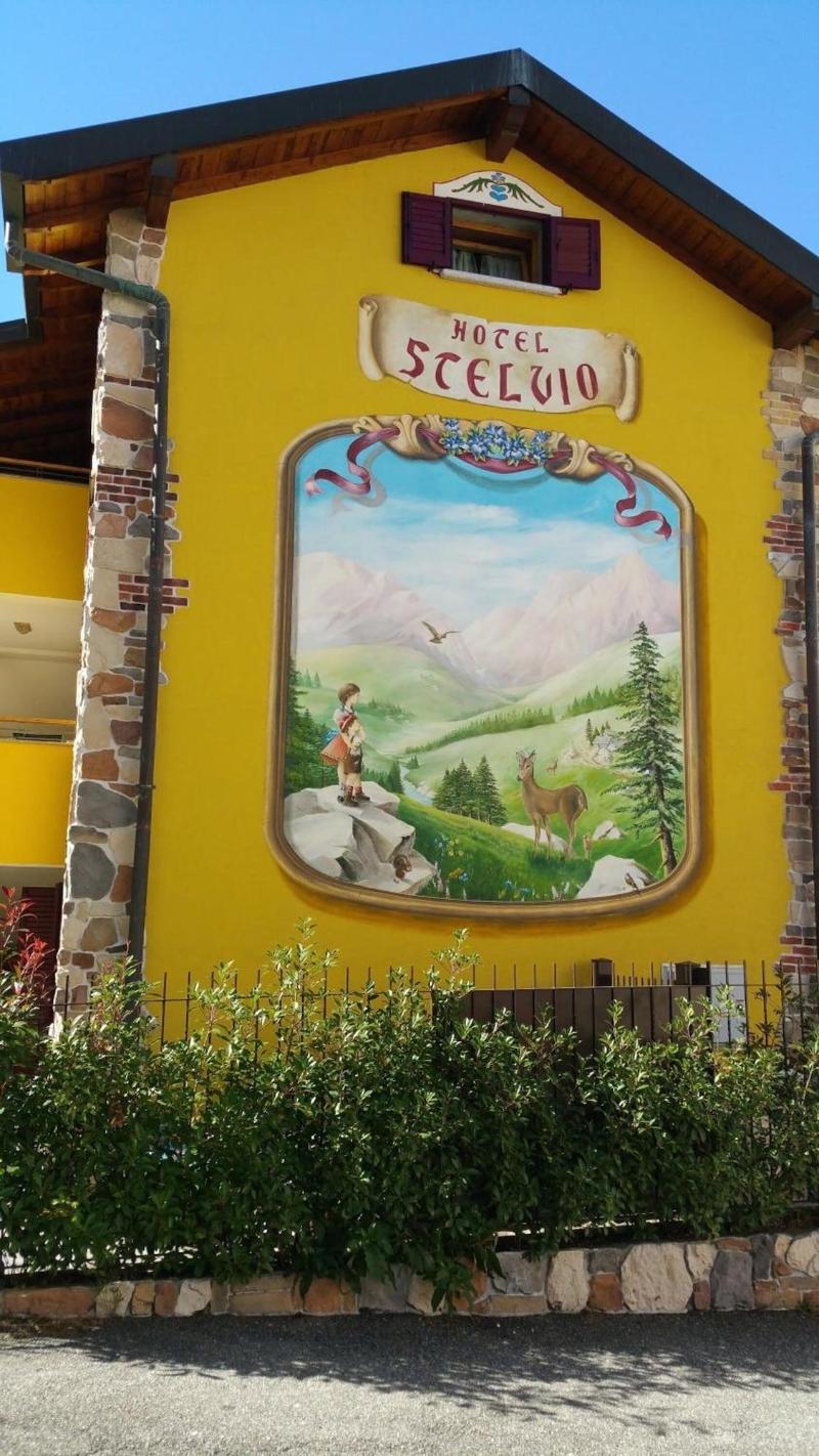 Hotel Stelvio - Genel