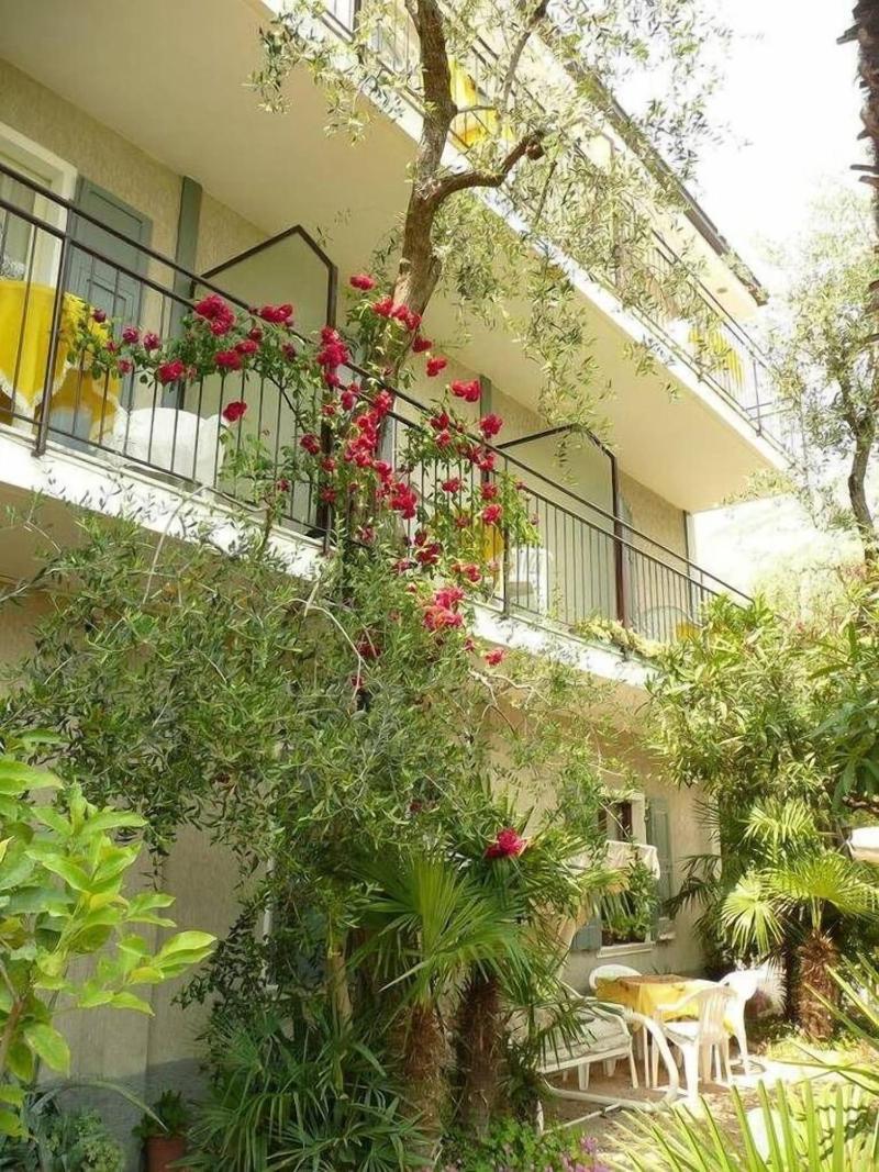 Hotel Silvana Garnì - Genel