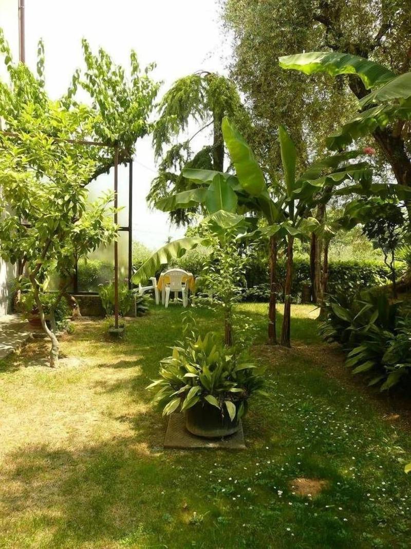 Hotel Silvana Garnì - Genel