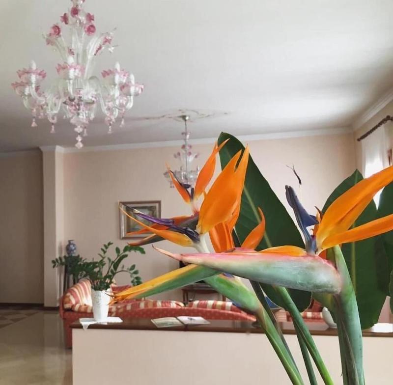 Hotel Isola Di Caprera - Lobi
