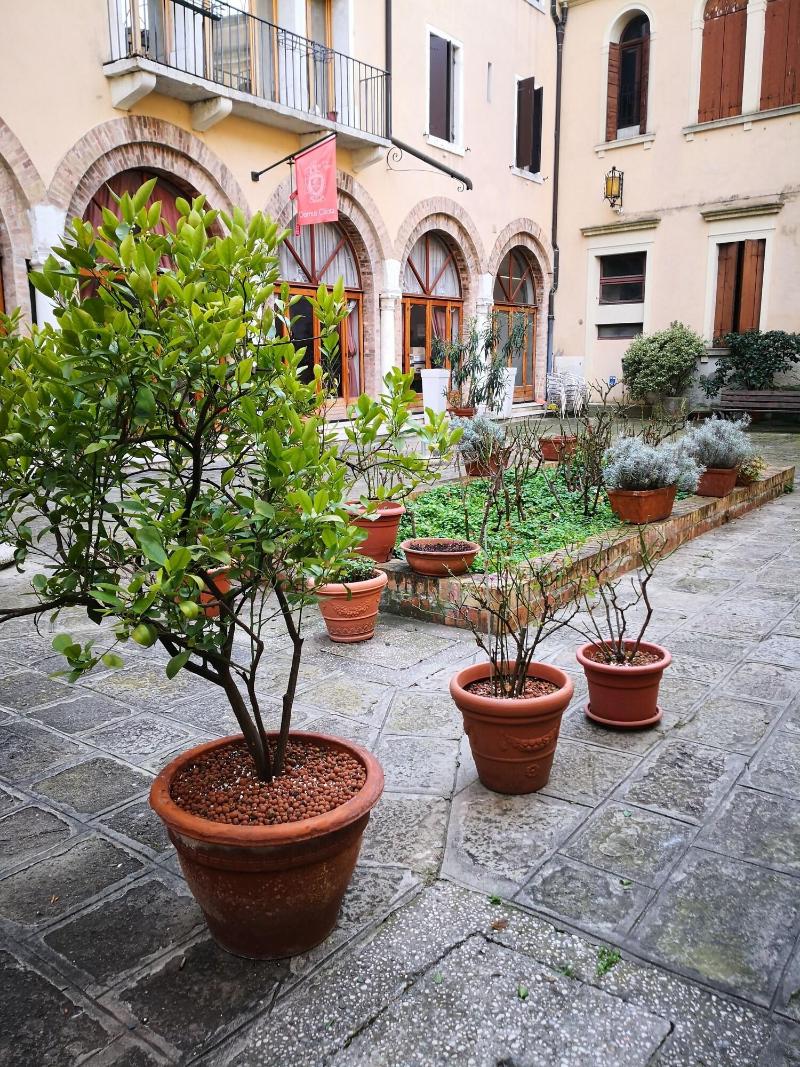 Domus Ciliota - Genel