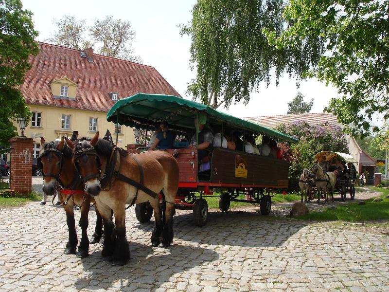 Schlosshotel Diedersdorf - Aktivite