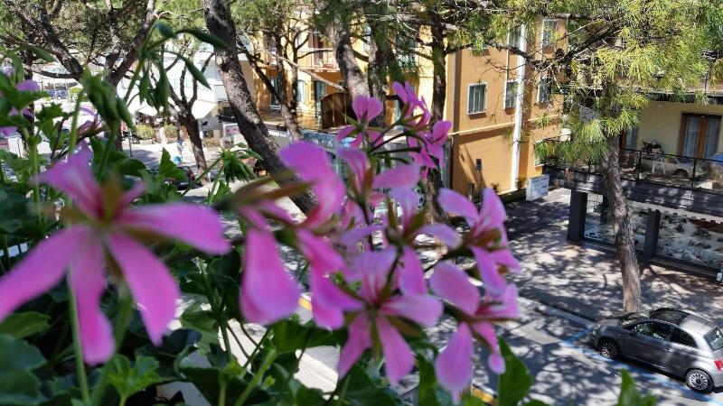 Danubio Hotel - Genel
