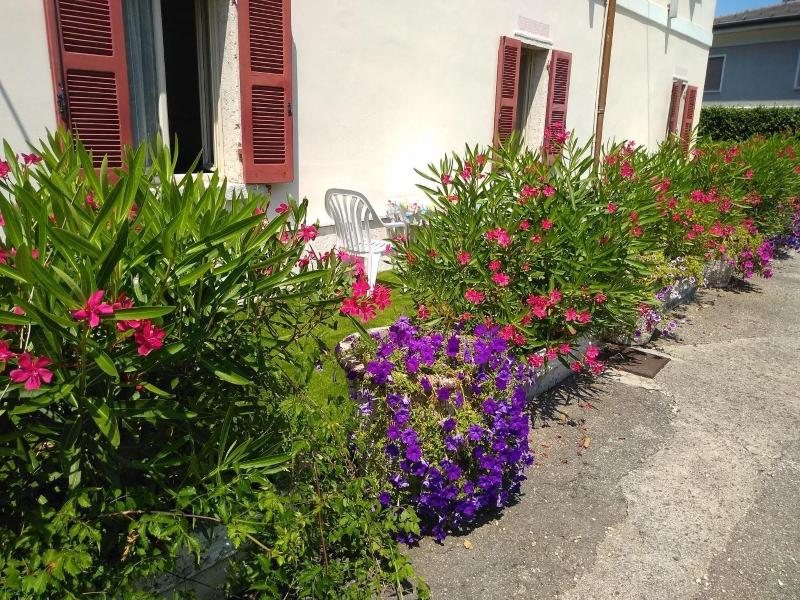 Albergo Grifone 1891 - Genel