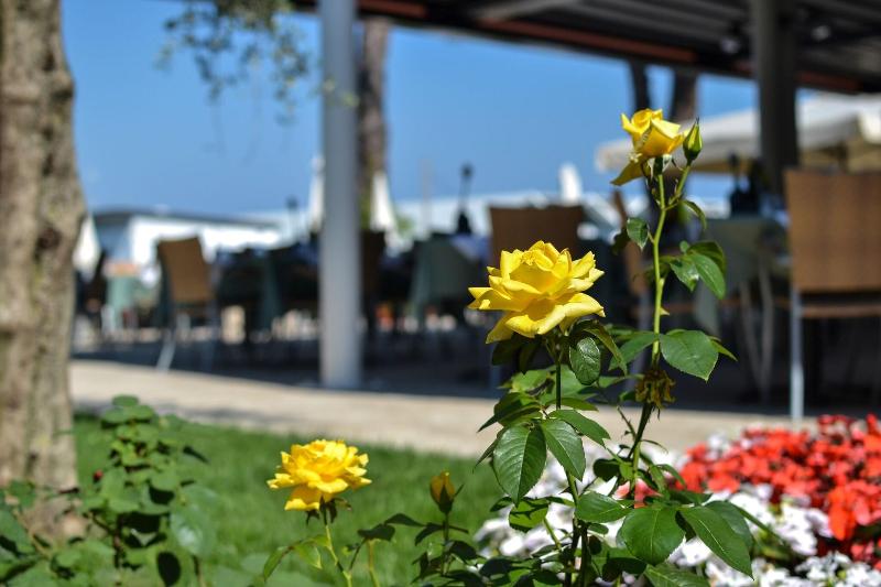 Hotel Maximilian - Teras