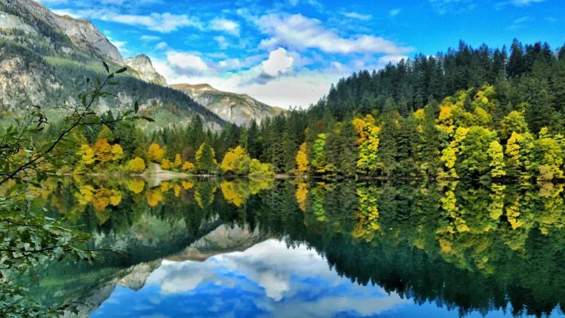 Pineta Hotels Nature Wellness Resort - Genel