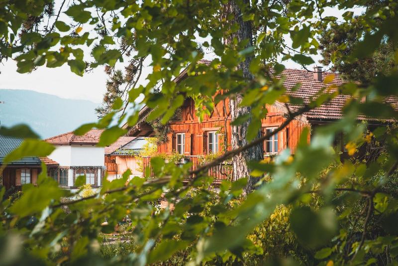 Pineta Hotels Nature Wellness Resort - Genel