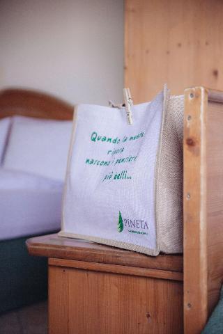 Pineta Hotels Nature Wellness Resort fotoÄŸrafÄ±