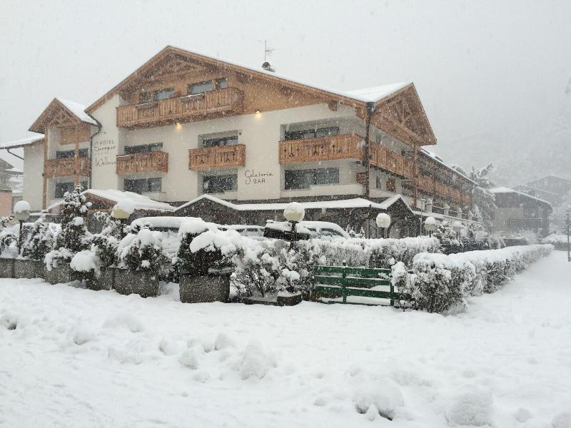 Alpine Charme & Wellness Hotel Europeo - Genel