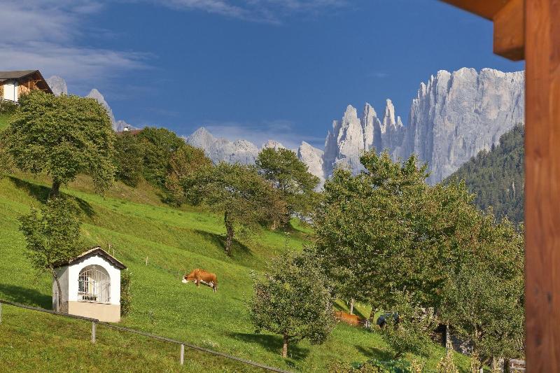 Alpinhotel Vajolet - Oda