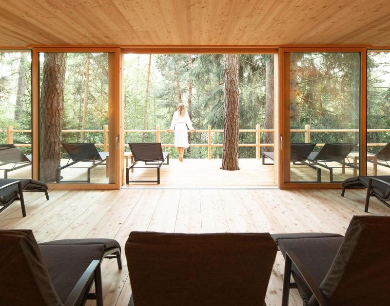 Adler Lodge Ritten - Teras