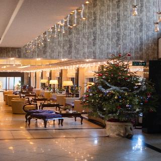 Iris Otel fotoÄŸrafÄ±