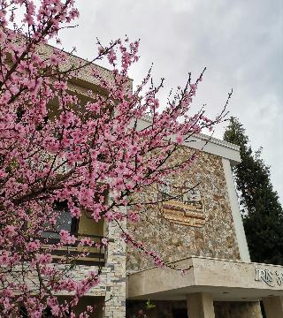 Iris Otel fotoÄŸrafÄ±