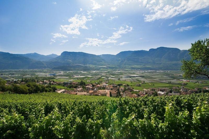 Panorama Tramin - Genel