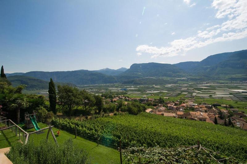 Panorama Tramin - Genel